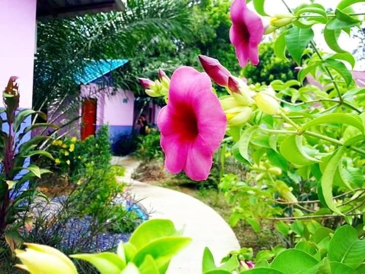 邦努河度假村 攀牙府 外观 照片